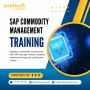 SAP Commodity Management Training