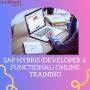 SAP Hybris Training Functional & Developer Online Course