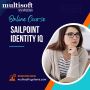 SailPoint Identity IQ Training Course Online