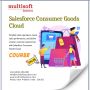 Learn How Salesforce Consumer Goods Cloud Training Transform