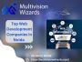 Top Web Development Companies in Noida | Multivision Wizards