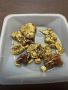 Gold Nuggets and dinosaur claws/teeth for sale.