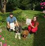Expert Dog Obedience Training in Nashville – Well-Behaved Do