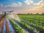  Quality Irrigation Supplies in Melbourne – Reliable & Affor