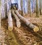 1996 Caterpillar 515 Skidder