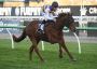 Top Betting Action with PlayUp– Australia's Trusted Platform