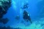 Cozumel Scuba Diving