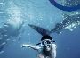 Snorkeling Tours in Cancun