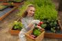 Maintain an organic garden free of chemicals!