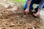 Experience Biodynamic Gardening in Your Homes