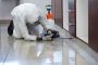 Find the Best Pest Control Near You by Comparing Prices Now