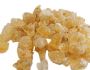Krystal Colloids Offers Superior Gum Ghatti – Inquire Now!