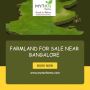 Secure Your Future with Farmland for Sale Near Bangalore