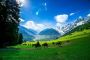 Short Trip to Kashmir Valley