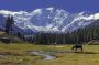 Happy Vacay to Kashmir