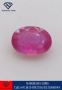 Purchase Mozambique Ruby at Best Price in Kolkata