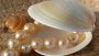 Shop for Quality Burmese Pearl at Competitive Price at Nabgr