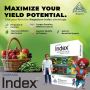 Effective Fungicides for Plant Disease Control | Agrochemica
