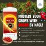 Best Fungicides for Crop Protection in India | Agrochemicals