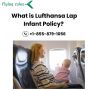 What is Lufthansa Lap Infant Policy? What is Lufthansa Lap Infant Policy?