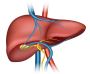 Liver Transplant Delhi – Cost & Best Doctor in Delhi