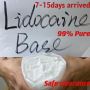 Premium Lidocaine Powder – Bulk Supply from Nanjing Chemical