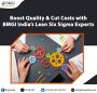 Boost Quality and Cut Costs with BMGI India’s Lean Six Sigma