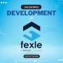Salesforce Development at Fexle Services