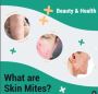 Demodex Mites Demodex Mites