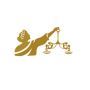 Understanding the Role of Saudi Arabia's Capital Market Auth