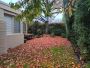 Landscaping Hampton