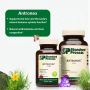 Wellness Expert Quincy IL