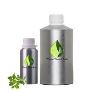 best lavender essential oil