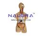 Biology Laboratory Equipments Manufacturers in India