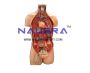 Biology Lab Equipments Suppliers in India