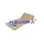 Hospital Beds Mattress Manufacturers Hospital Beds Mattress Manufacturers