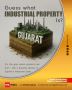 Top Alternative Investment Funds in India