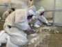 Asbestos Testing Company in Aston