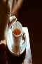 Buy Bai Mu Dan Darjeeling Peony White Loose Leaf Tea| Makaib