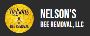 Nelson's Bee Removal