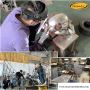 Looking for Metal & Stainless Steel Fabrication Services?