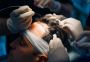 Natural-Looking Results: Best Hair Transplant Specialist in 