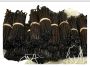 ‎Organic Vanilla Pods