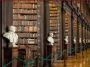 Opt for study abroad consultants | Newstrides