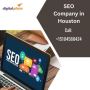 Houston’s Leading SEO Company for Efficient Internet Adverti