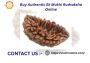 Buy One Mukhi Rudraksha Online At Affordable Prices