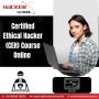 Certified Ethical Hacker (CEH) Course Online 