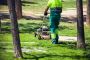 Top-Notch Hedge Trimming Services in Sydney!