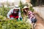 Keep Your Lawn Perfect with NG Lawn Mowing Sydney Keep Your Lawn Perfect with NG Lawn Mowing Sydney