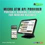 MICRO ATM SOFTWARE SOLUTION